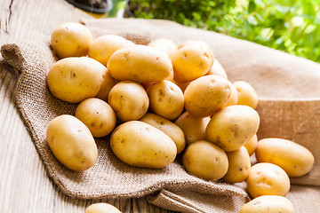 Image showing Farm fresh  potatoes on a hessian sack