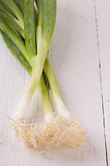 Image showing Bunch of fresh leeks or scallions