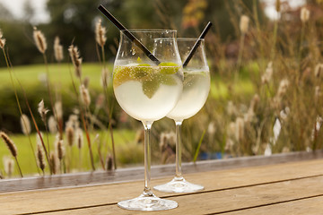 Image showing hugo prosecco elderflower soda ice summer drink 