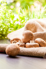 Image showing Fresh brown Agaricus mushrooms