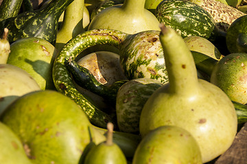 Image showing Kalebassenkürbirs cucurbita pumpkin pumpkins from autumn harves