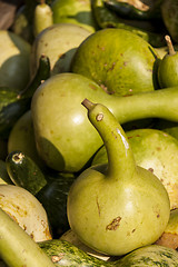 Image showing Kalebassenkürbirs cucurbita pumpkin pumpkins from autumn harves