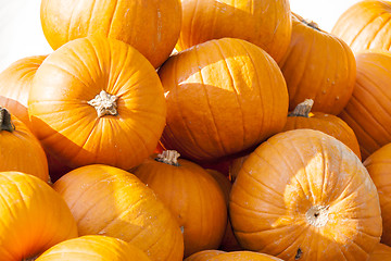 Image showing Halloween big Halloween cucurbita pumpkin pumpkins from autumn h