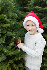 Image showing buying christmas tree