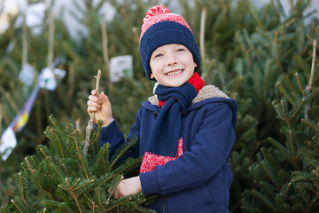 Image showing buying christmas tree