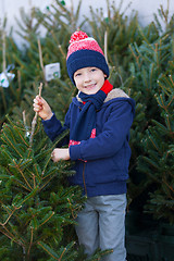 Image showing buying christmas tree