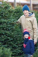Image showing buying christmas tree