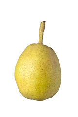 Image showing Single whole Asian pear