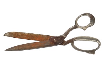 Image showing Scissors