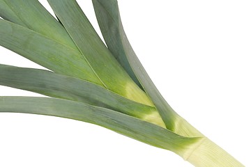 Image showing Leek