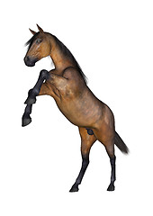 Image showing Horse