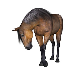 Image showing Horse