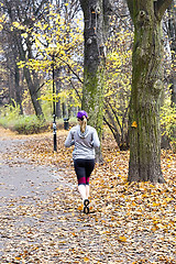 Image showing Female jogger in   park