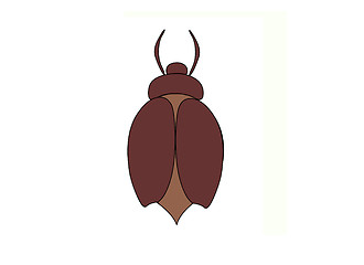 Image showing Brown bug