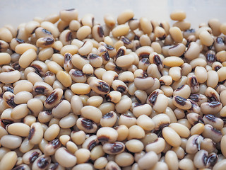 Image showing Beans salad