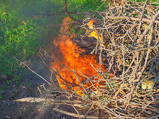 Image showing Burning fire