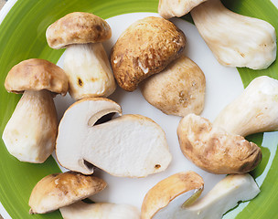 Image showing Porcini Mushroom