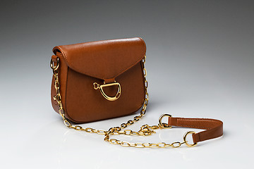 Image showing Fashionable brown bag