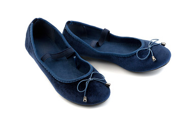 Image showing pair of velvet sandals