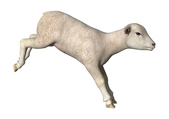 Image showing Jumping Lamb