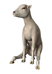 Image showing Lamb on White
