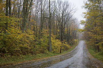 Image showing Forest, Autumn 