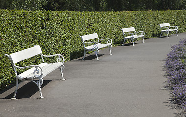 Image showing Row of park benches