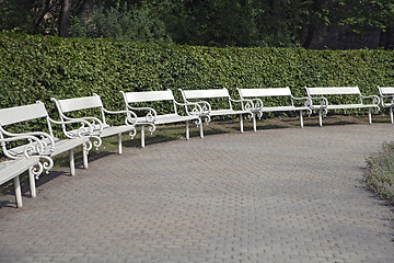 Image showing Row of park benches