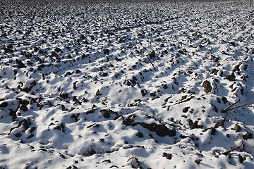 Image showing Snowy field