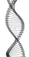 Image showing DNA structure model