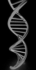 Image showing DNA structure model