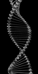 Image showing DNA structure model