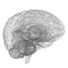 Image showing Creative concept of the human brain