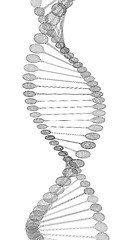 Image showing DNA structure model