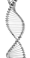 Image showing DNA structure model