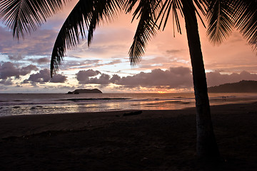 Image showing Tropical Sunset