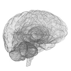 Image showing Creative concept of the human brain