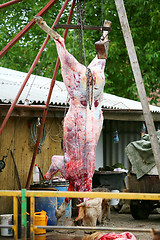 Image showing Peeled cow