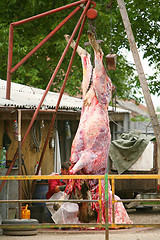 Image showing Butcher cuting a cow