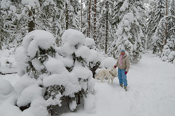 Image showing The woman with a dog on walk in a winter wood