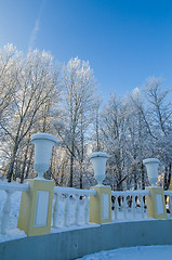 Image showing A beautiful city park with trees covered with hoarfrost