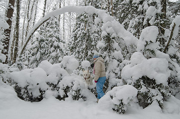 Image showing The woman with a dog on walk in a winter wood