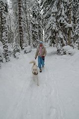 Image showing The woman with a dog on walk in a winter wood