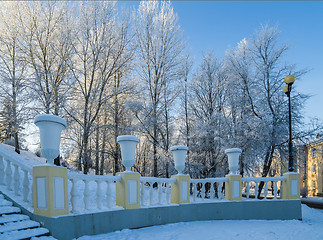 Image showing A beautiful city park with trees covered with hoarfrost