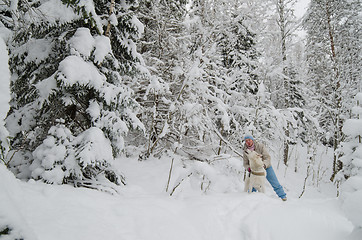 Image showing The woman with a dog on walk in a winter wood