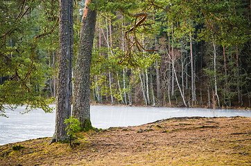 Image showing Spring landscape at wood lake