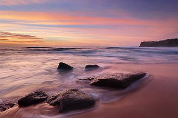 Image showing The colours of summer at Bungan beach Australia