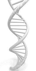 Image showing DNA structure model on white 