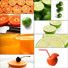 Image showing citrus fruits collage