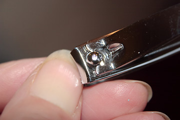 Image showing nails being clipped